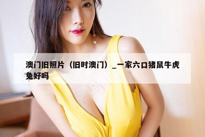 澳门旧照片（旧时澳门）_一家六口猪鼠牛虎兔好吗